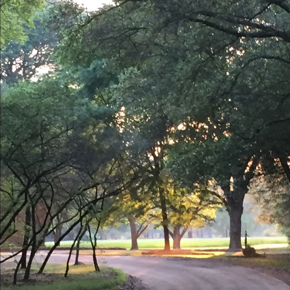 Meet your Posher, Bb